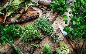 Herbs